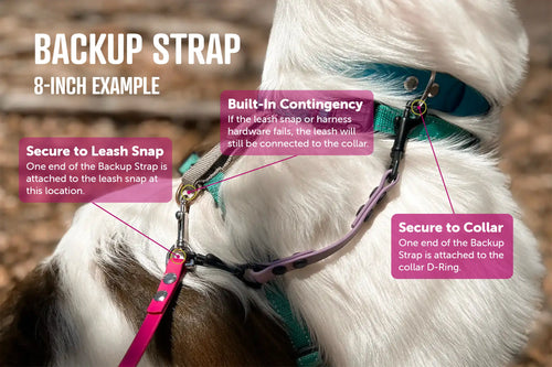 Backup Strap