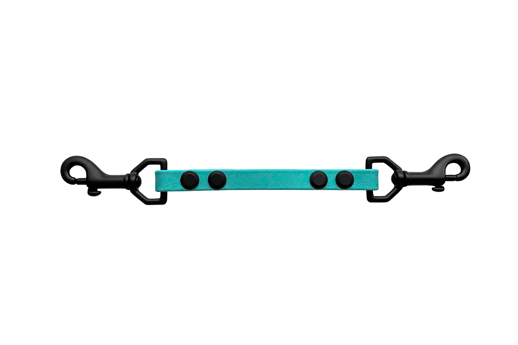Backup Strap
