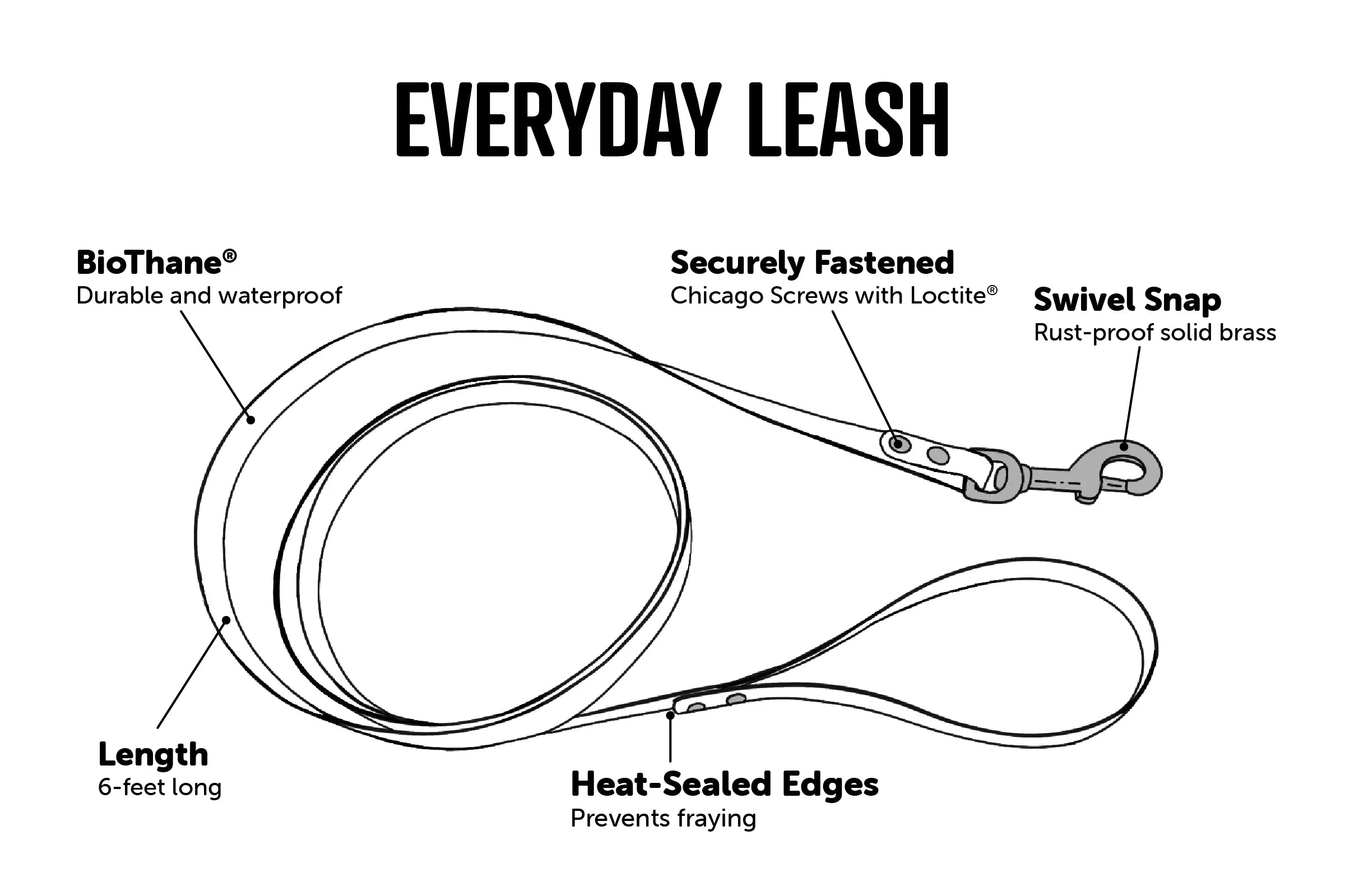 Everyday Leash