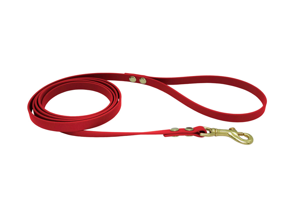Everyday Leash