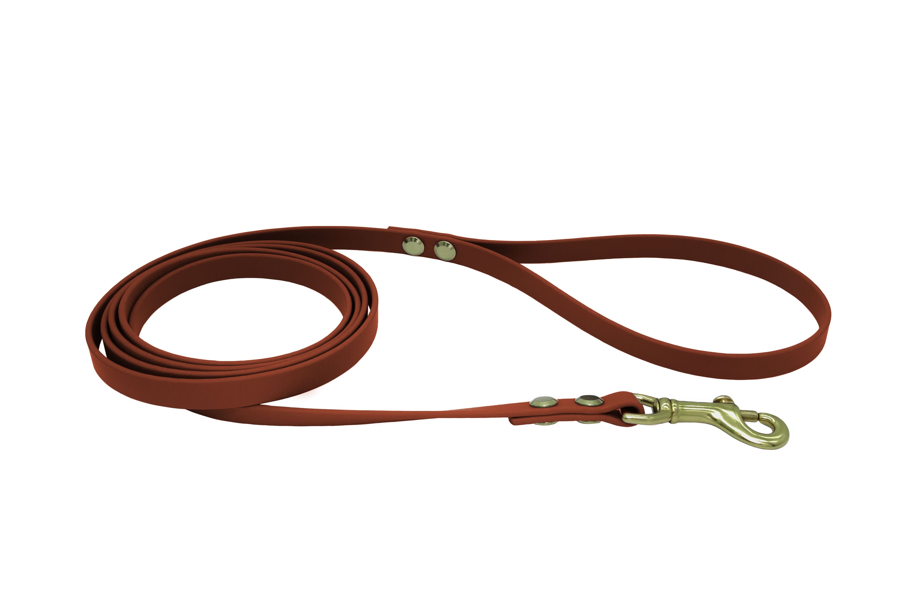 Everyday Leash