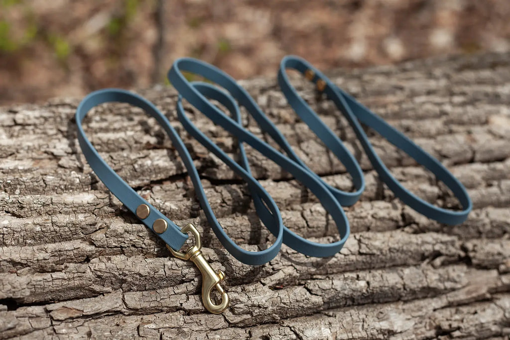 Everyday Leash