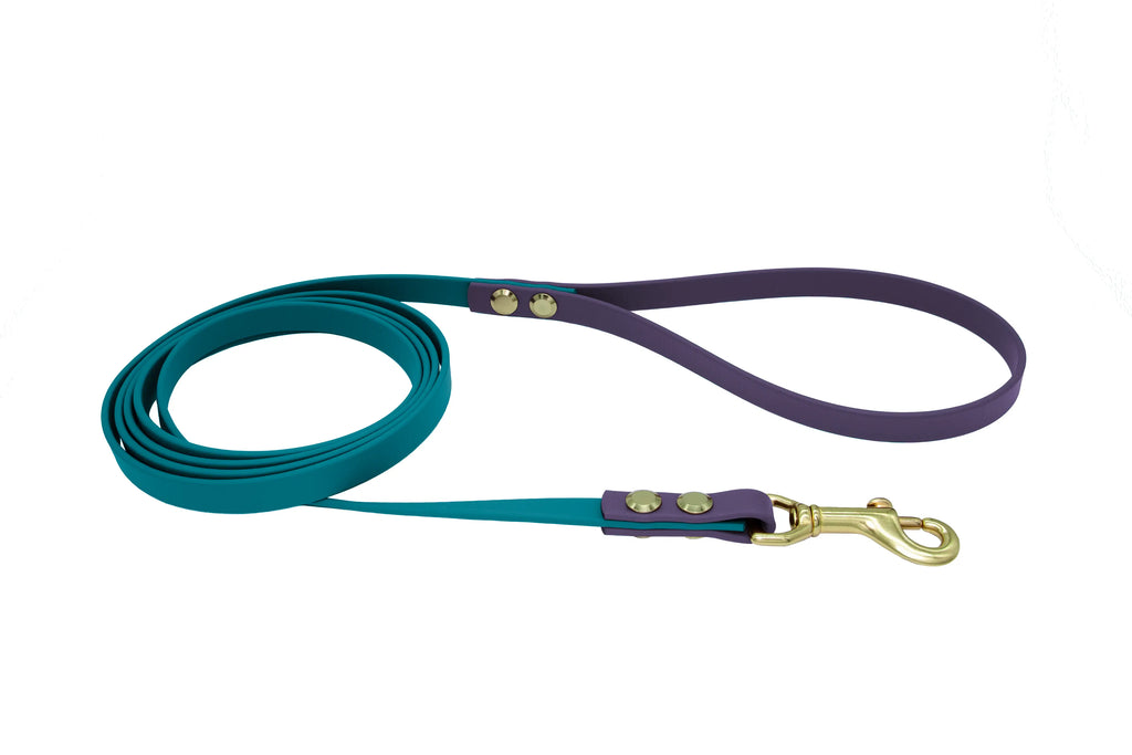 Two-Tone Everyday Leash