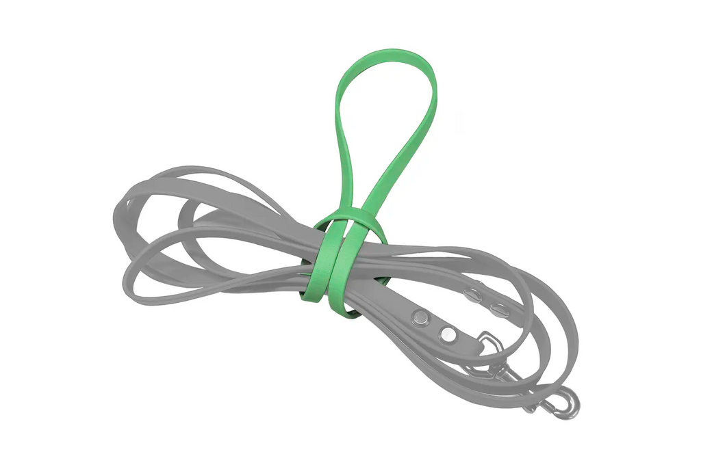 Leash Keeper