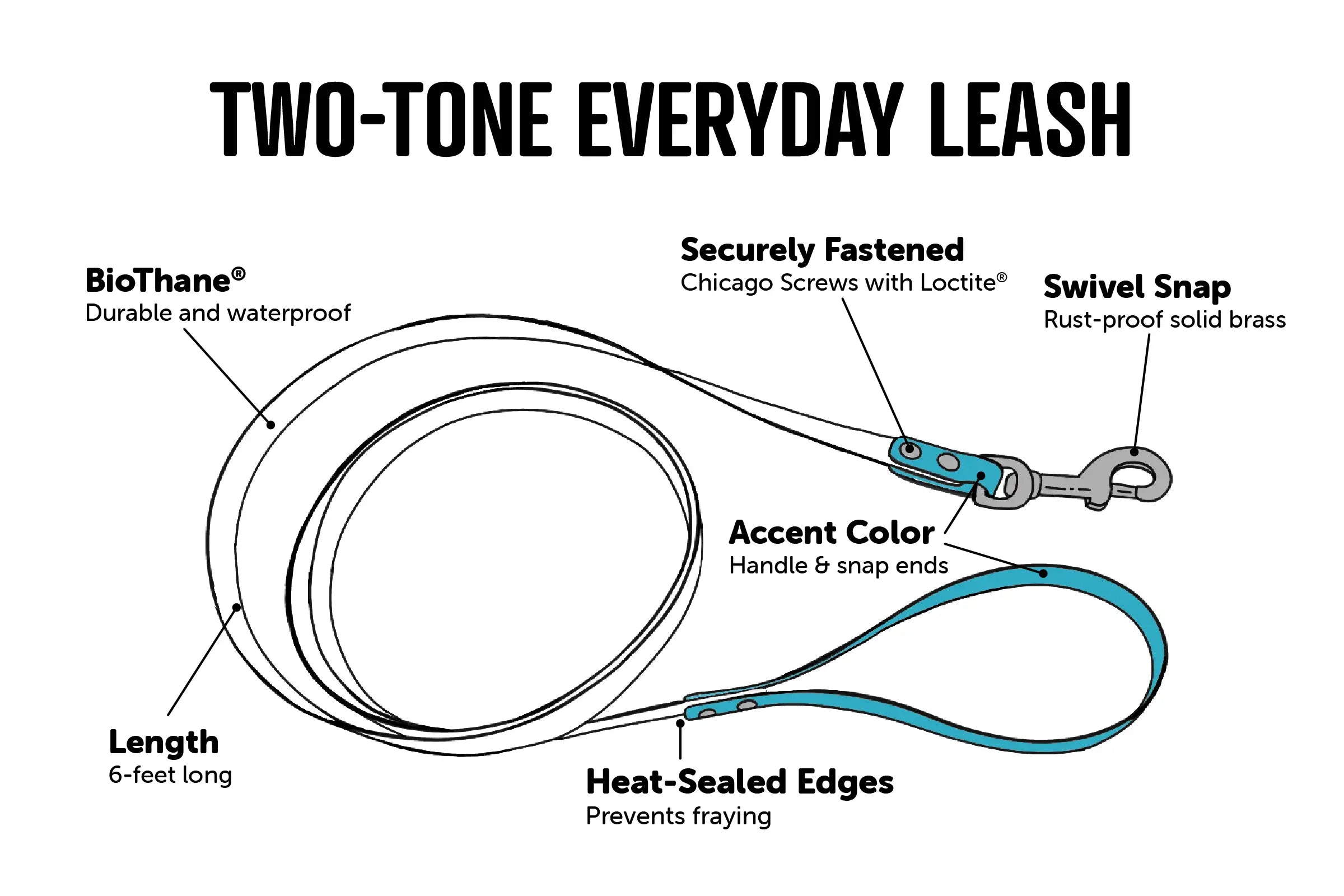 Two-Tone Everyday Leash