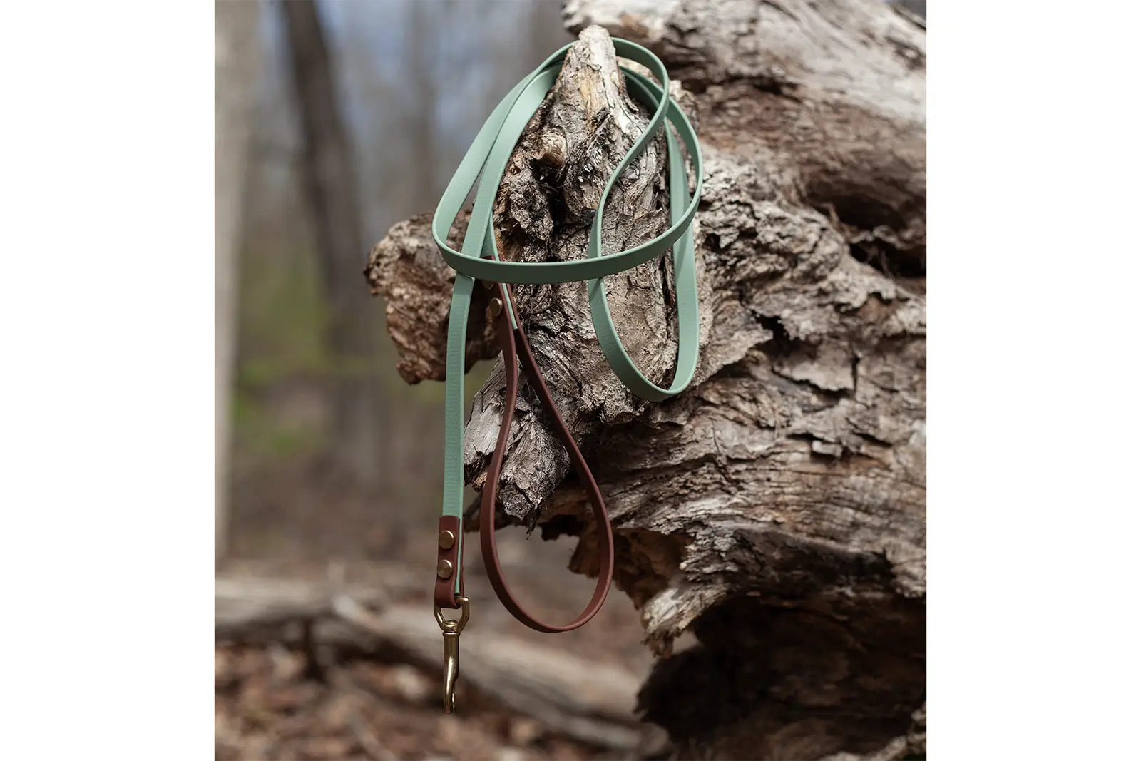 Two-Tone Everyday Leash